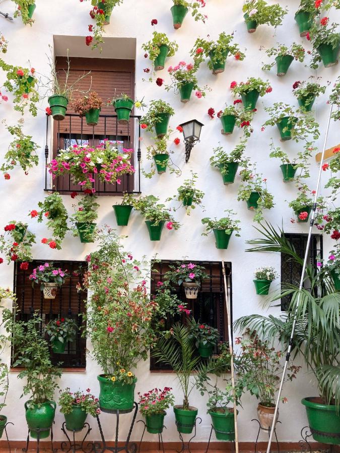 Apartamentos El Olivo Córdoba Exteriér fotografie